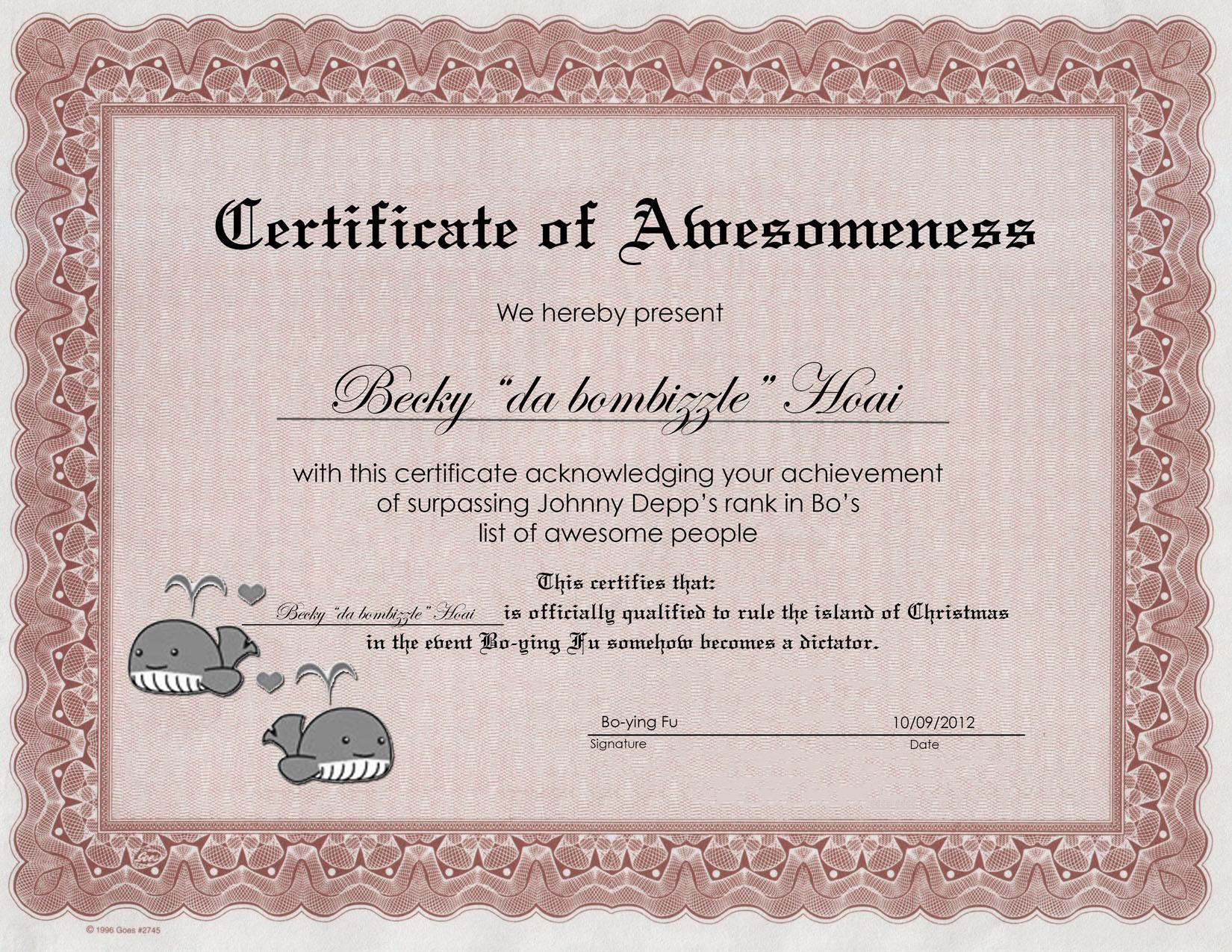 Certificate of Awesomeness Sample