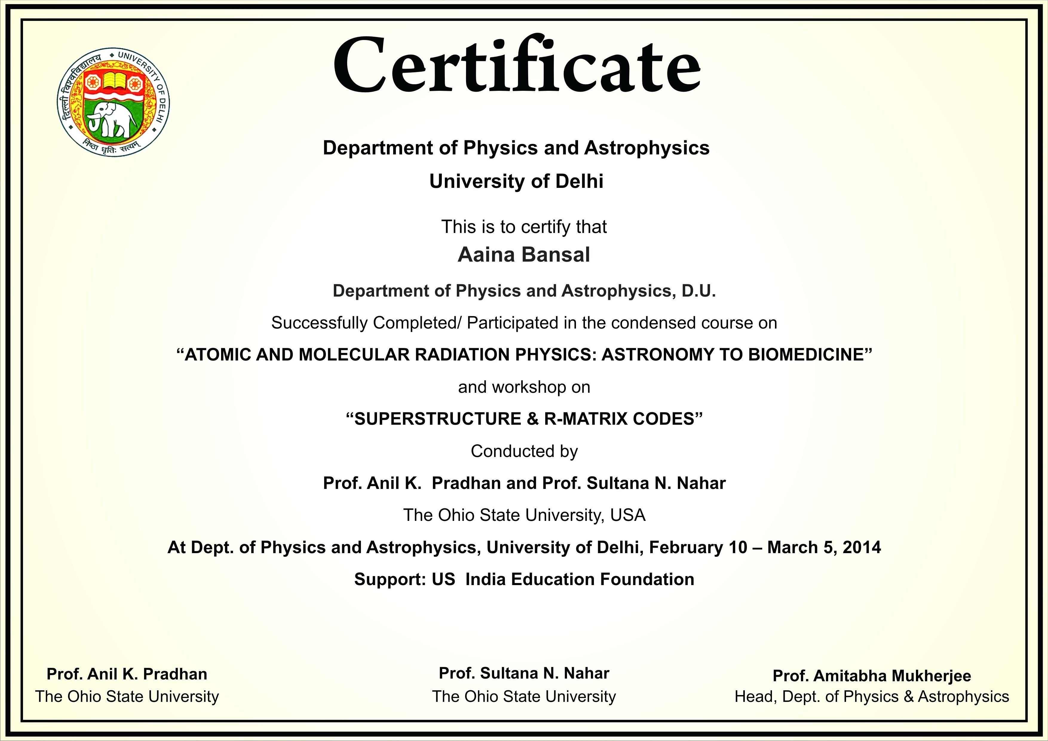 Example of Certificate of Participation in Workshop 