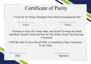 Certificate of Purity Example 